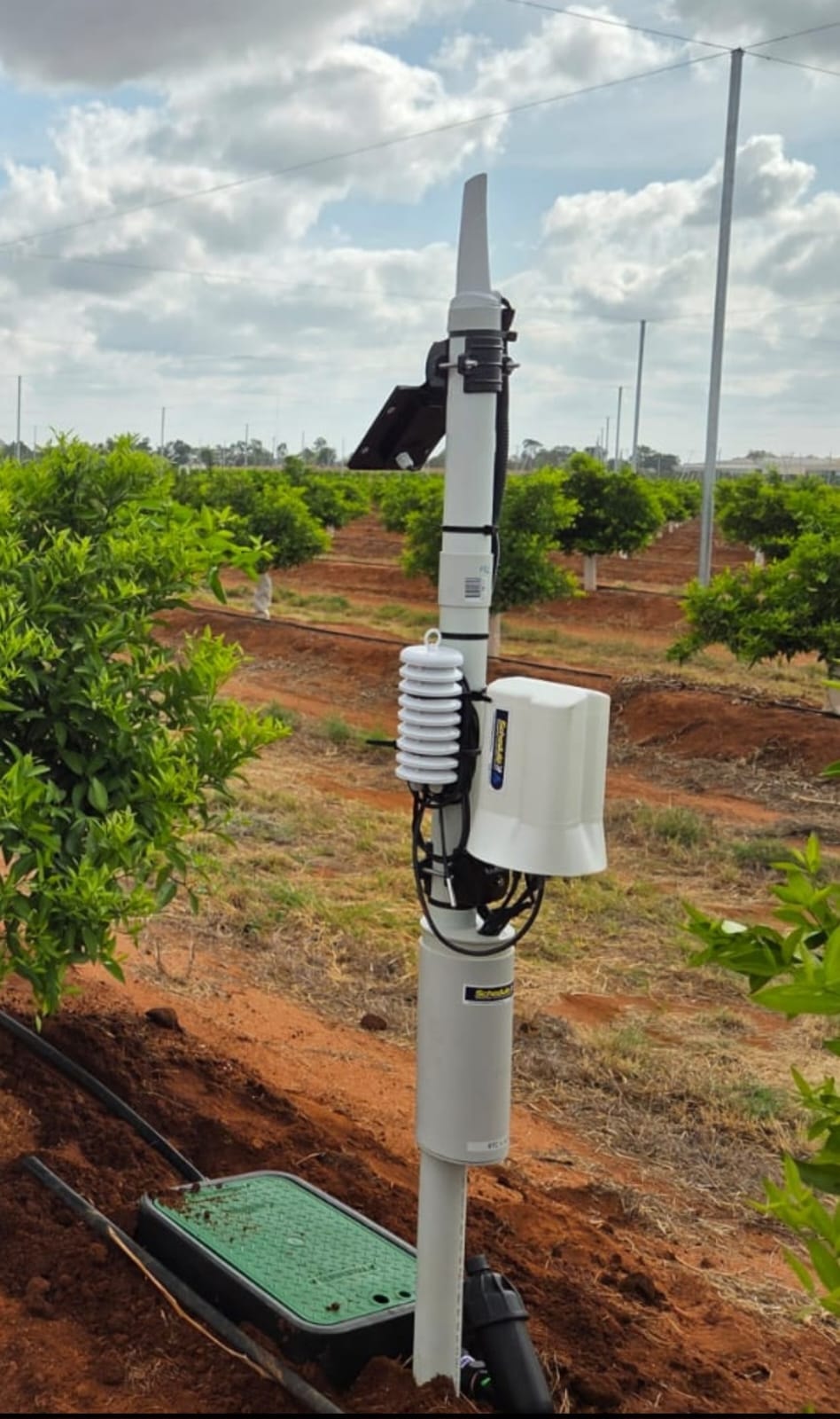 Horticulture Upgrade Solution